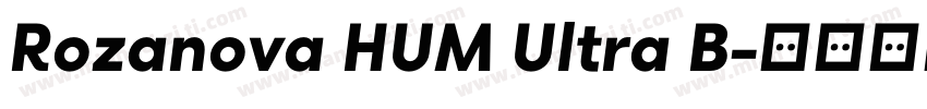 Rozanova HUM Ultra B字体转换